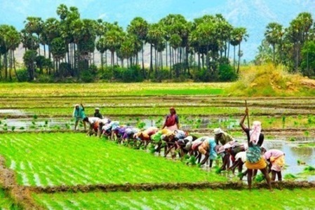 Green Loan